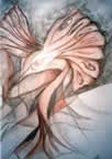 Liliana Cannistraci